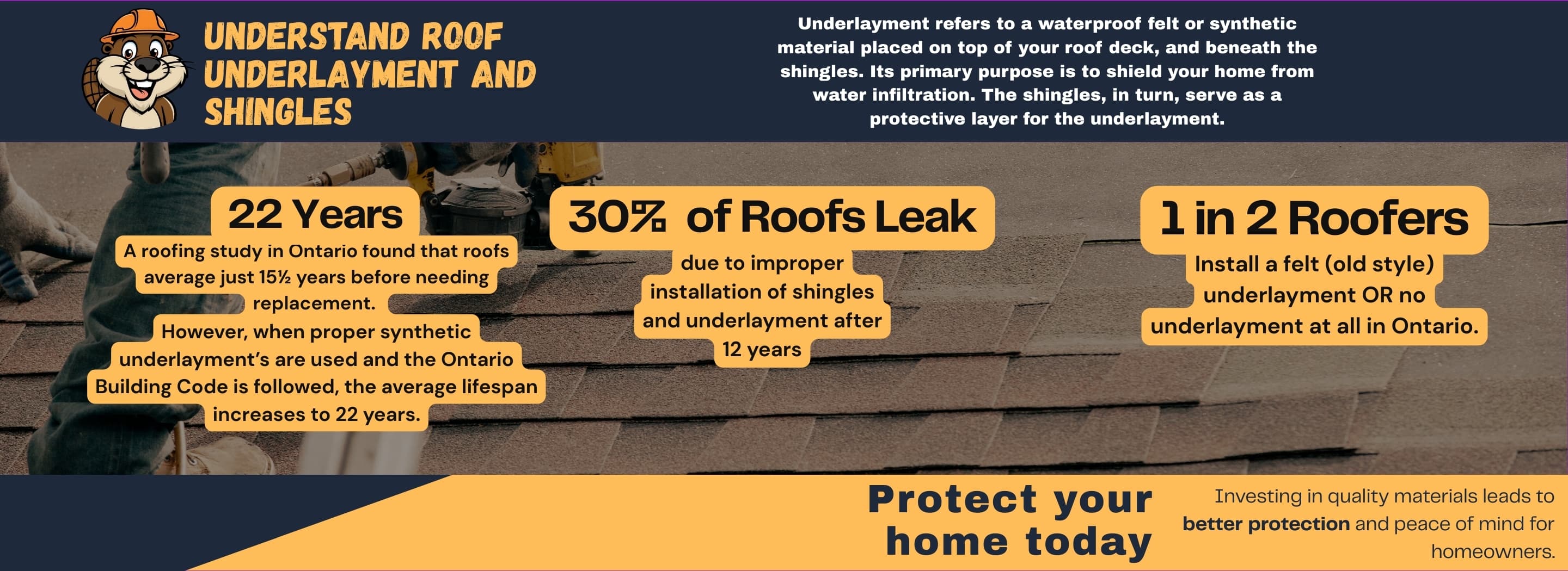 jungle roofers